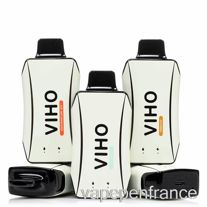 Viho Turbo 10000 Stylo Vape Jetable Toundra Congelé